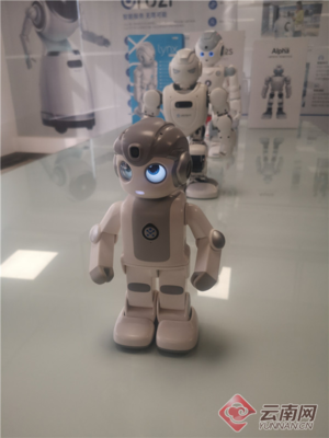 昆明智能機器人產(chǎn)業(yè)園年內(nèi)破土動工，云計算裝備技術(shù)服務(wù)引領(lǐng)產(chǎn)業(yè)升級